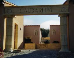 Didier SCUDERONI - L'ART AU PLURIEL